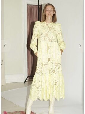 Mr. Larkin Lemon May dress